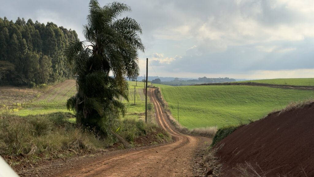 Camino de tierra para el rally